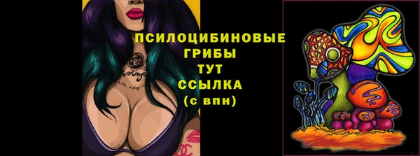 тгк Покров