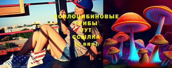 тгк Покров
