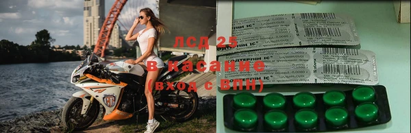 тгк Покров