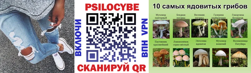 KRAKEN зеркало  Балтийск  Галлюциногенные грибы ЛСД  наркотики 