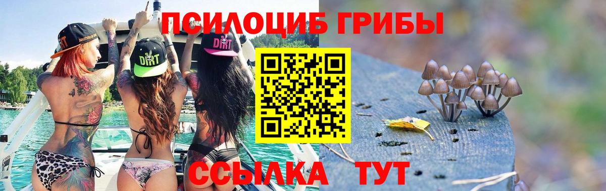 Псилоцибиновые грибы прущие грибы  Балтийск 