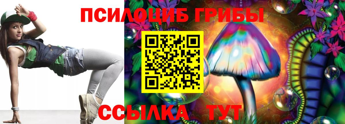 Балтийск  где можно купить   Вход с VPN  Псилоцибиновые грибы GOLDEN TEACHER 
